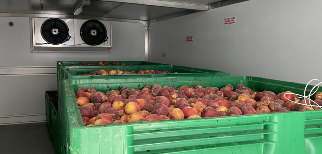 Frutas y hortalizas frescas conservadas en la cadena de frío gracias a cámaras modulares y túneles de congelación industriales de Dawsongroup