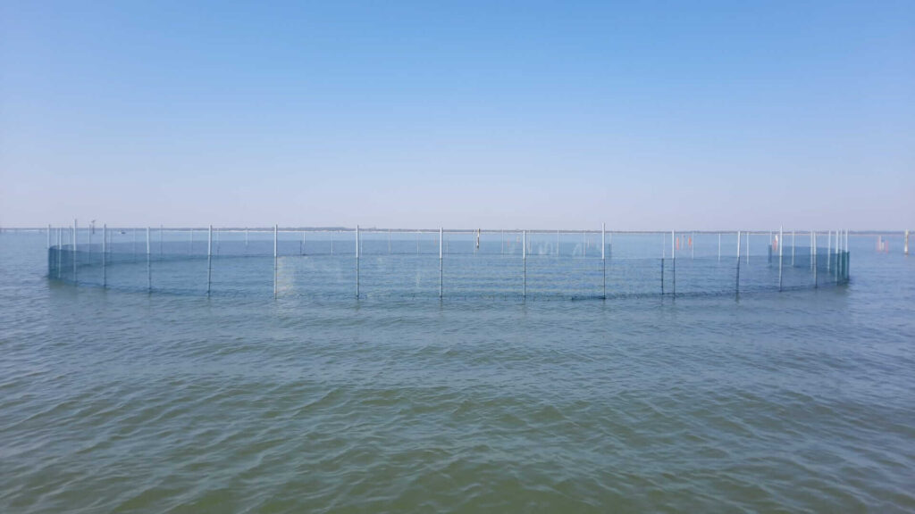 Aquaculture enclosures in the lagoon near Goro, northern Italy